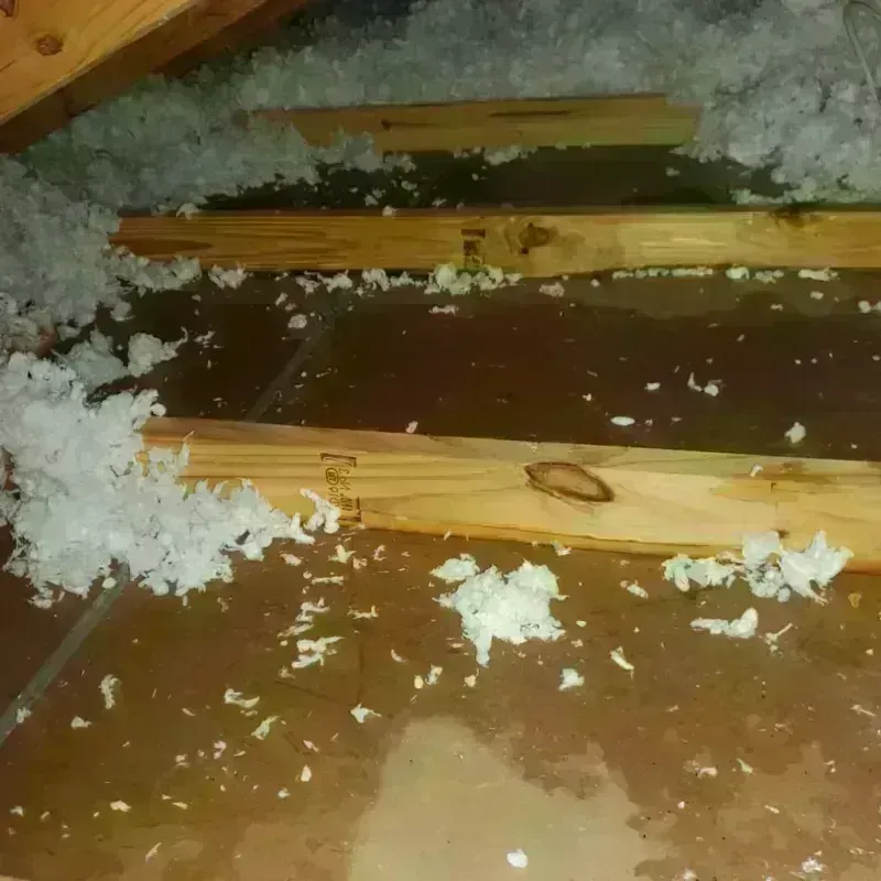 Attic Water Damage in Madison Heights, VA