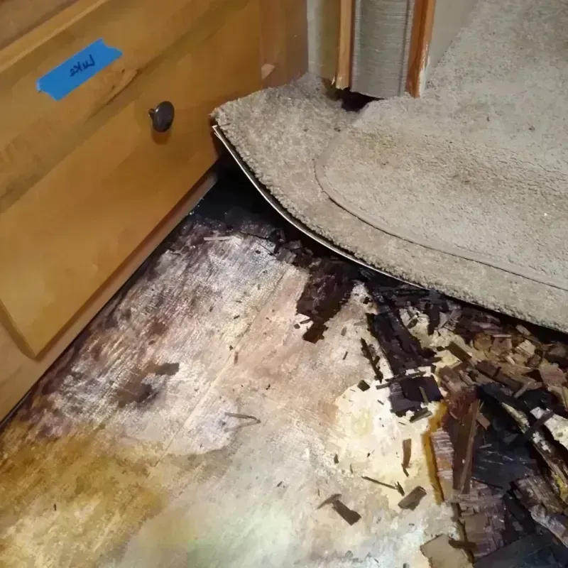 Wood Floor Water Damage in Madison Heights, VA